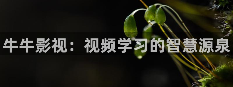 yy4480首播影院大全