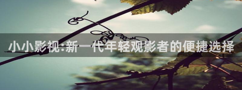 yy4480电影免费观看